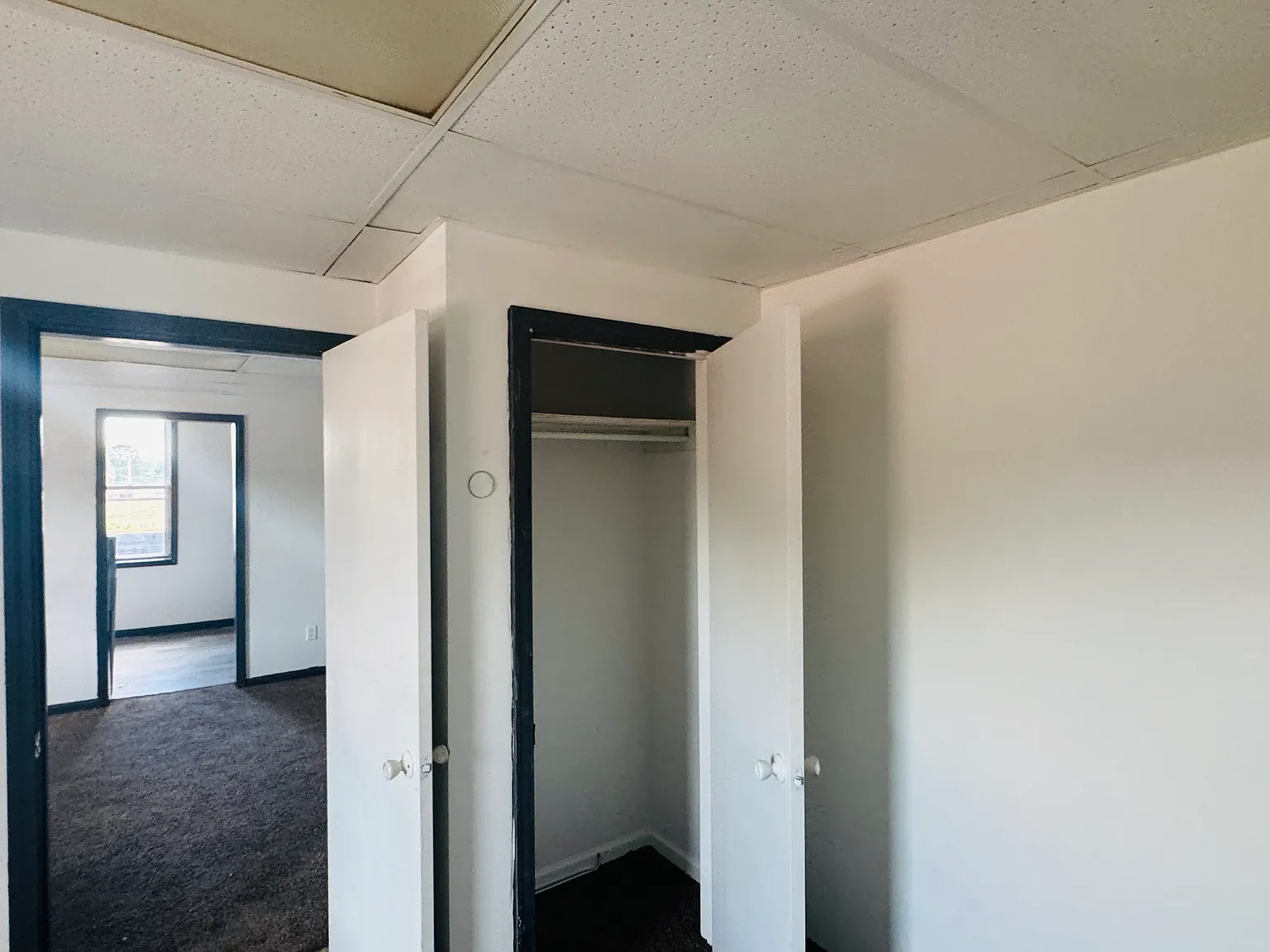 1 bed, $900 — Photo 1