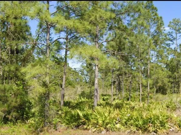 1406 Edison Ave Lot 9, Lehigh Acres, FL 33972