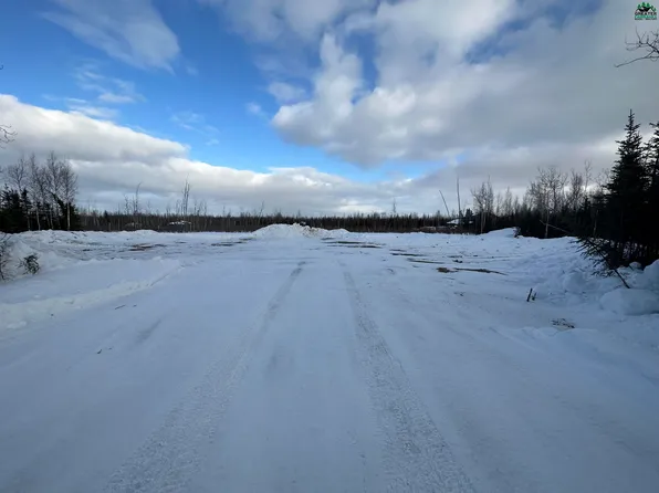 Nhn Raya Rd, Delta Junction, AK 99737