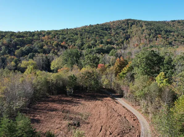 0 Brammer Spur Rd, Woolwine, VA 24185