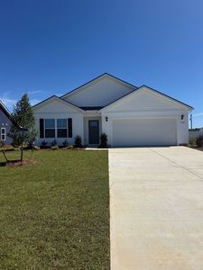 224 Red Buckeye Dr., Conway, SC, 29527