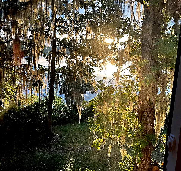 Afternoon lake view from the sunroom