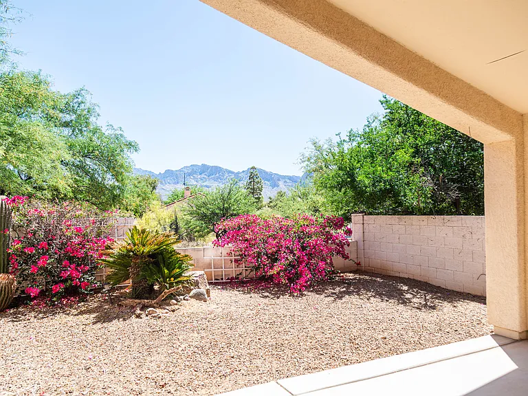 11146 N Desert Flower Dr — Photo 19