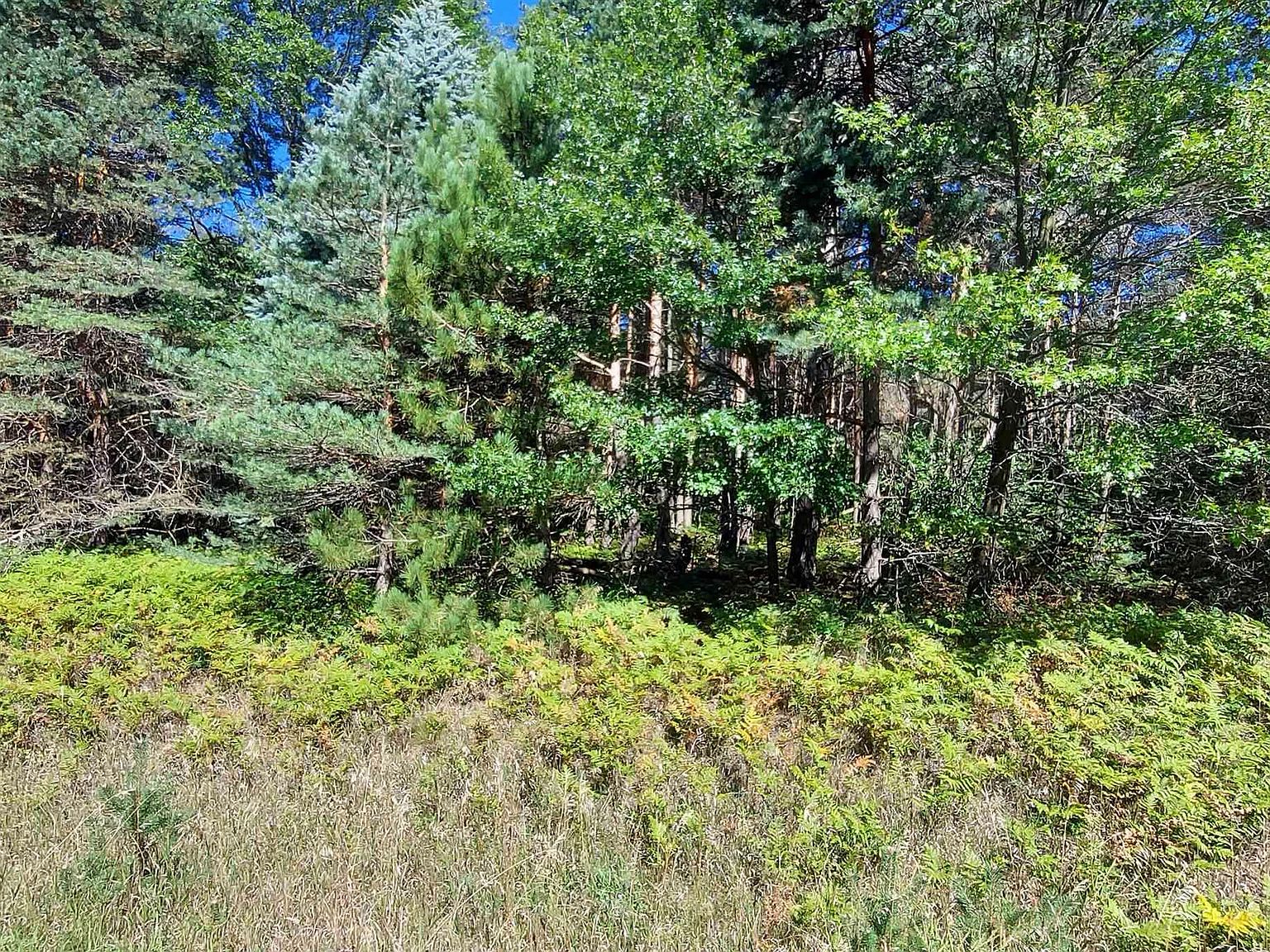 220 W Geers Rd, Mc Bain, MI 49657 Zillow