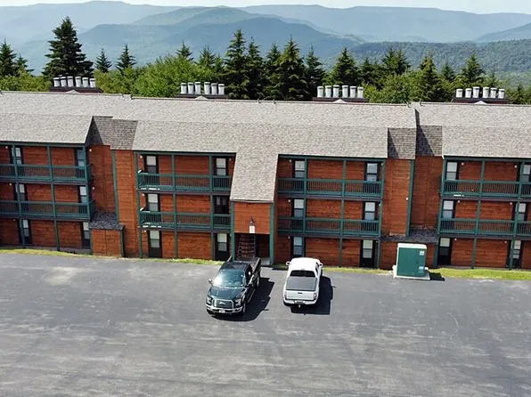 69 Ridgewood St, Snowshoe, WV 26209