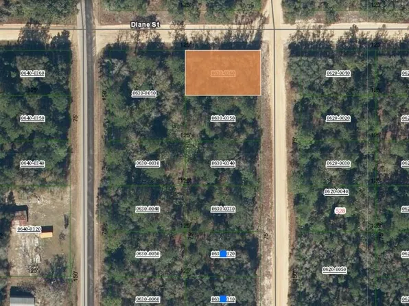 0000000 DAVID Avenue, Interlachen, FL 32148