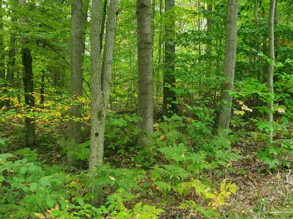 6721 Sassafrass Rd, Ludington, MI 49431