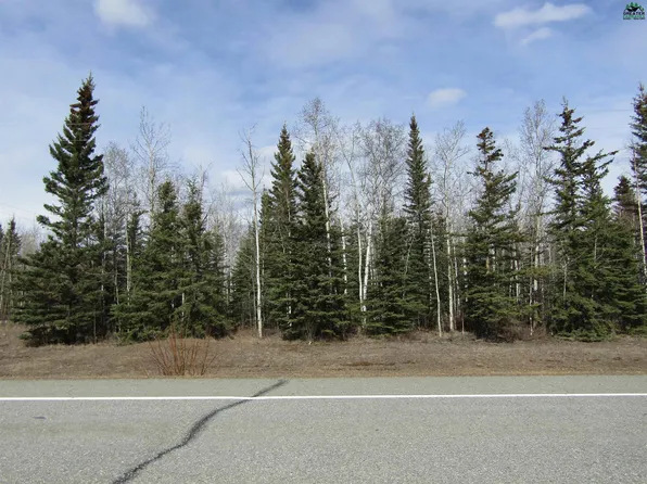 L31 Remington Rd, Delta Junction, AK 99737