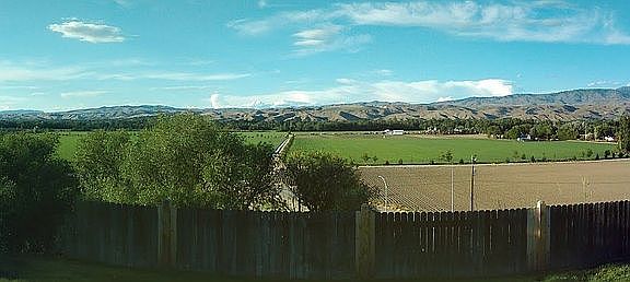 View from back porch