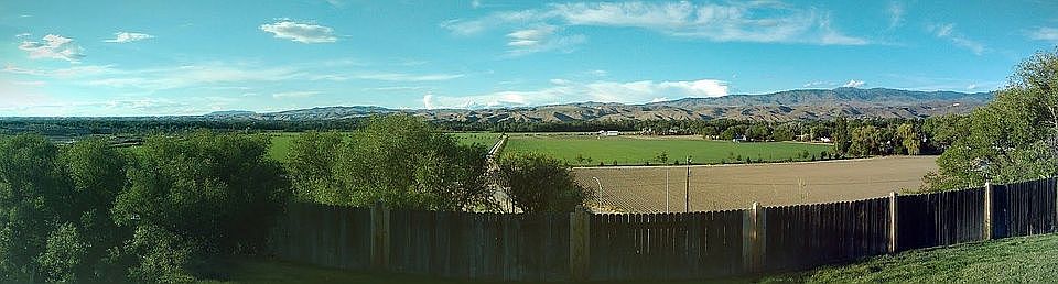 View from back porch
