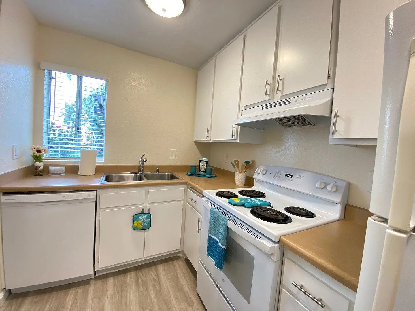 Blueberry Apartments — Photo 4