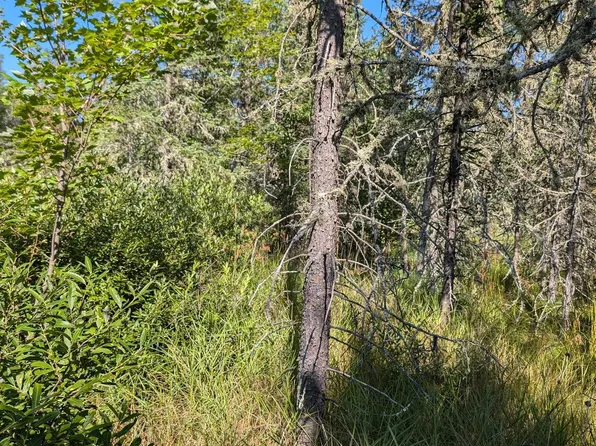 E Little Lake Rd, Gwinn, MI 49841