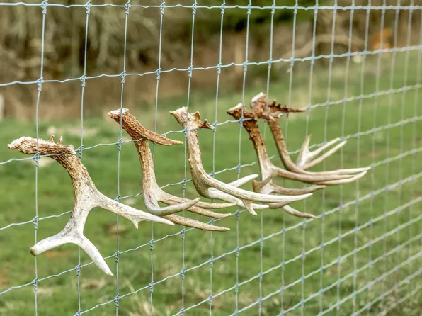 0 Fishing Ford Rd, Belfast, TN 37019