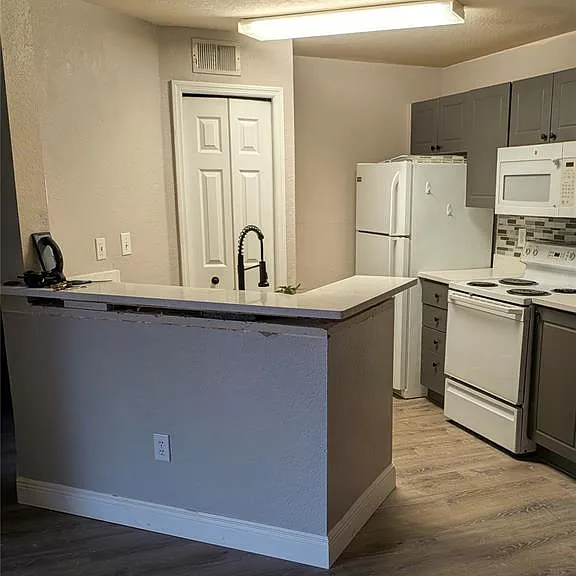 4209 Woodstorks Walk Way #1205 — Photo 2