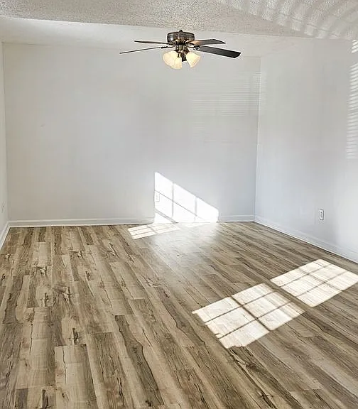 Beautifully updated 4 Bedroom/2 Bathroom downstairs apartment — Photo 42