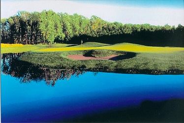 Green right out the backdoor