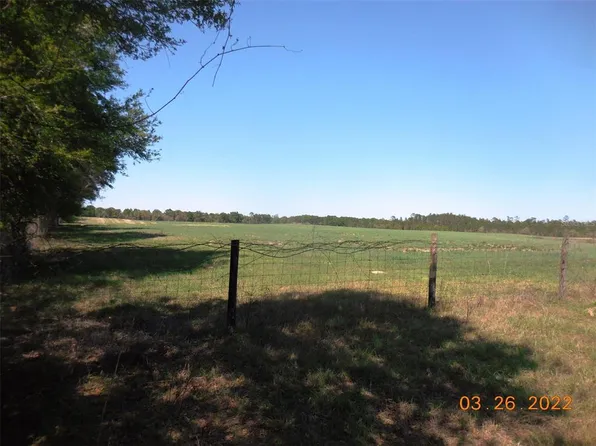 NE 65th Ln, Williston, FL 32696