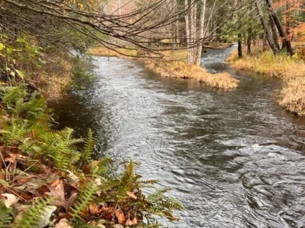 91 Laurie Lane, Call Listing Agent, NY 12413