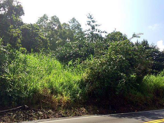 3rd image of 0 Mamalahoa Hwy.