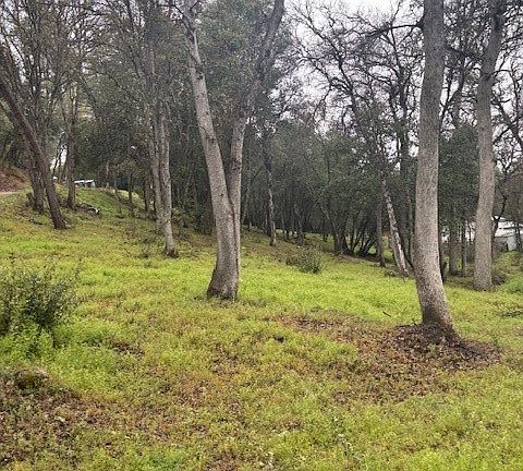 3rd image of 5877 Armijo Ave Lot 5-8