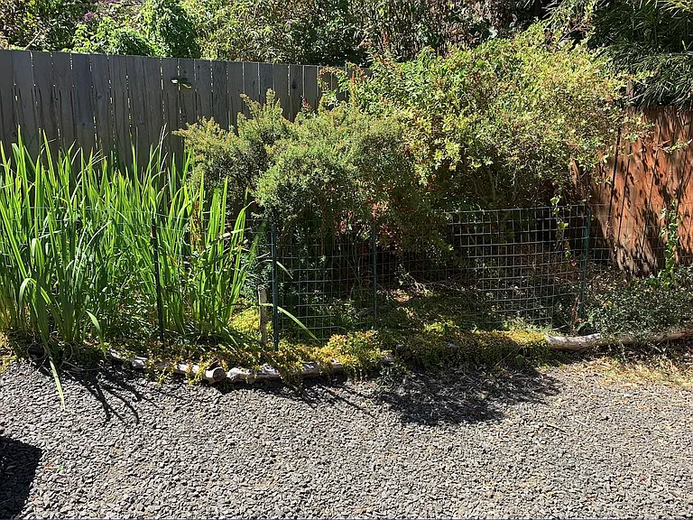 39 W 25th Ave — Photo 18