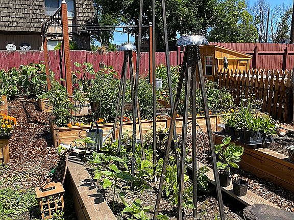 Perennial Garden Beds