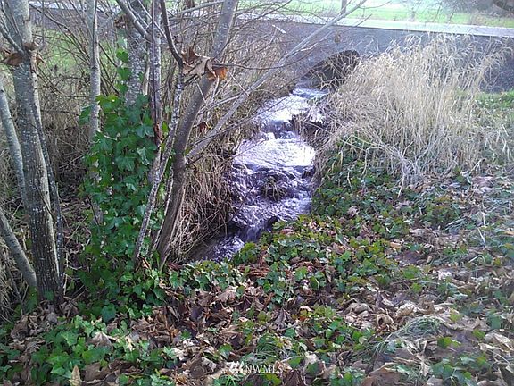 2nd image of 0 XXX Newaukum Valley Road