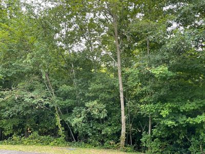 21 Dan Knob Dr, Hayesville, NC, 28904