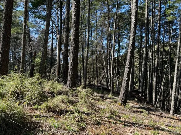 2150 - 2250 Baywood Way, Willits, CA 95490