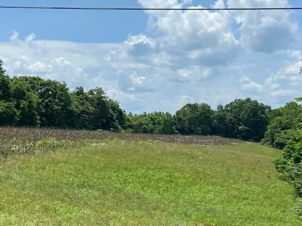 0 Willow Lenoxburg Rd, Foster, KY 41043