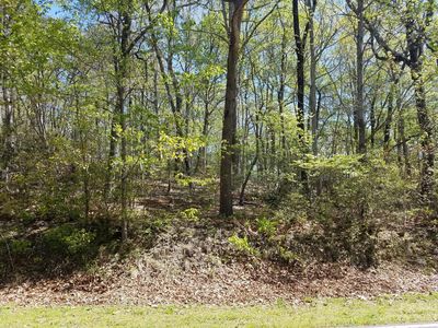 0 Dogwood Trl, Tryon, NC, 28782