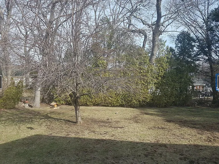 59 Morningside Dr — Photo 13