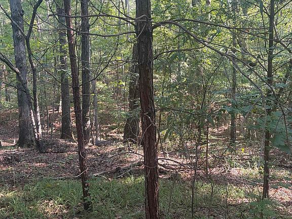 2nd image of 7925 County Road 66 #1