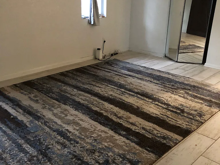 Master bedroom with carpet. Mirror doors open to walk in closet