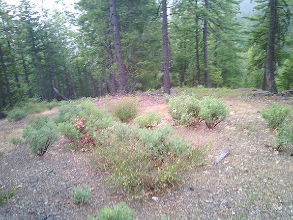 3rd image of Xox Ditch Creek Rd