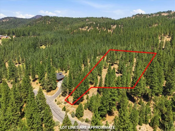 288 Arrowleaf Rd, Portola, CA 96122