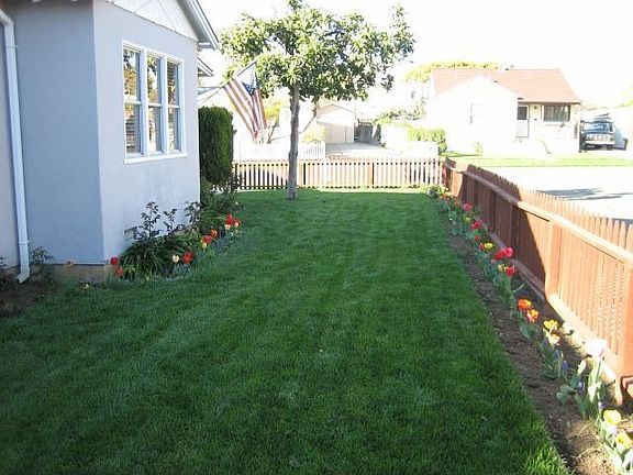 Side yard