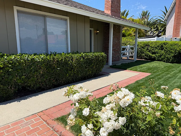 545 Cycod Pl — Photo 3