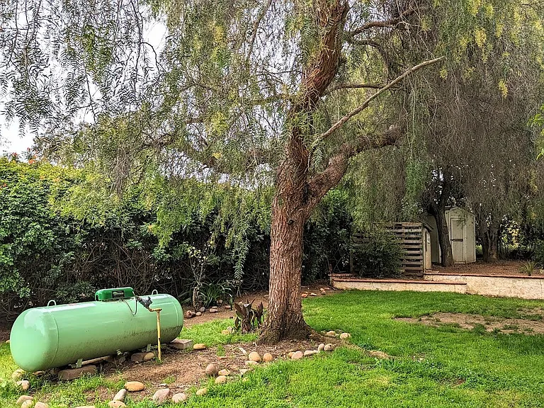 side yard