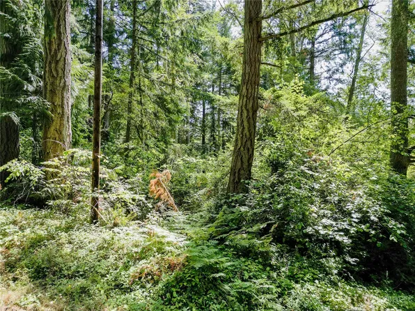 12212 Sound Drive, Anderson Island, WA 98303