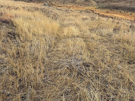 2nd image of 0 Lot 39 Mountain View