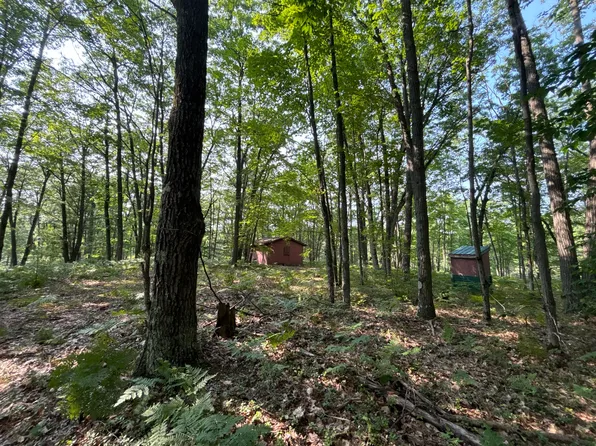 942 N 47 1/2 Rd, Manton, MI 49663