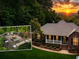 8024 Friendship Mountain Ln, Springville, AL 35146