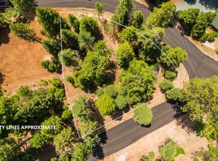 4867 Sciaroni Rd, Grizzly Flats, CA 95636