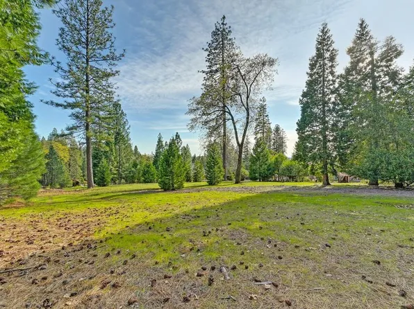 3485 Big Oak Dr, Foresthill, CA 95631