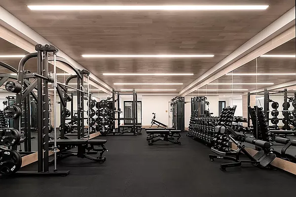 Rented by MNS | media 15