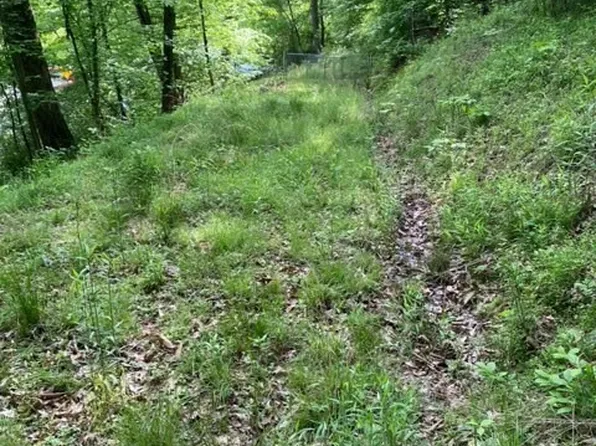 0 Dairy Rd, Poca, WV 25159