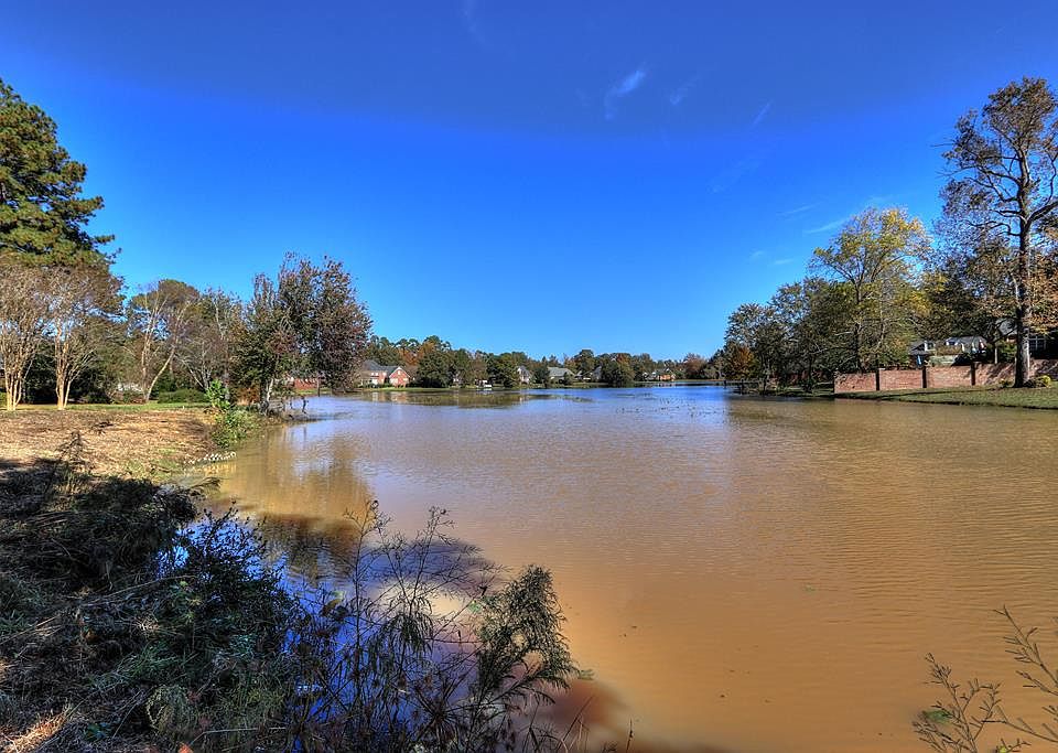 1st image of 295 Idlelake Ct