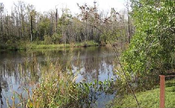 400 ft Robinson Bayou