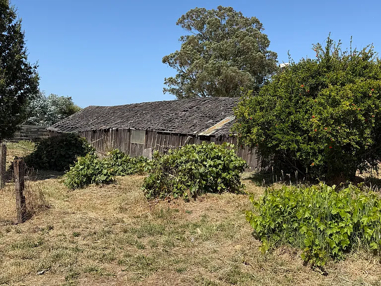 1975 Cooper Rd — Photo 5